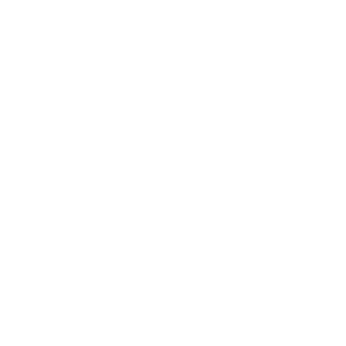 BiretixLogoWhite (2)